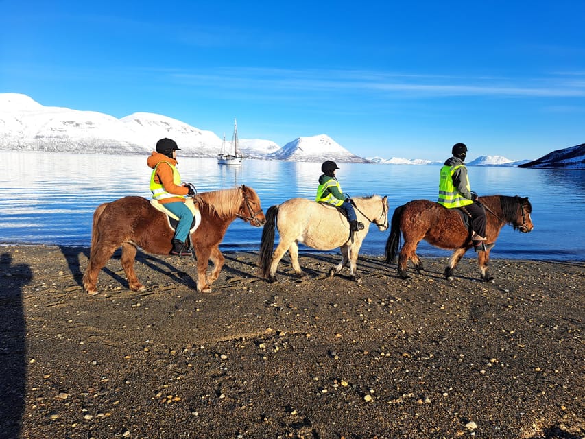 Tromsø: Lyngen Horse Winter Riding Experience - Stories of the farm, the region, and wartime Tromsø