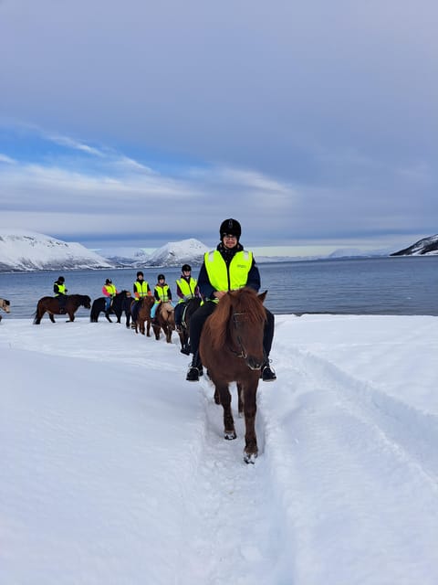 Tromsø: Lyngen Horse Winter Riding Experience - What to pack for a winter riding outing
