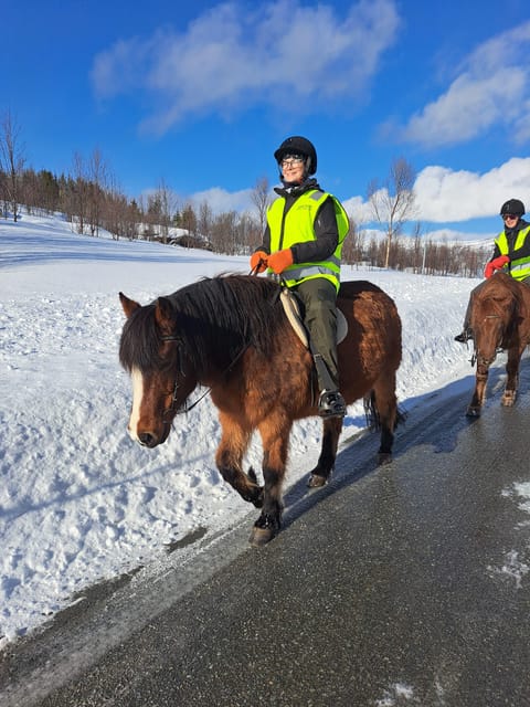 Tromsø: Lyngen Horse Winter Riding Experience - My practical verdict