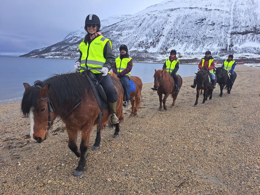 Tromsø: Lyngen Horse Winter Riding Experience - FAQ