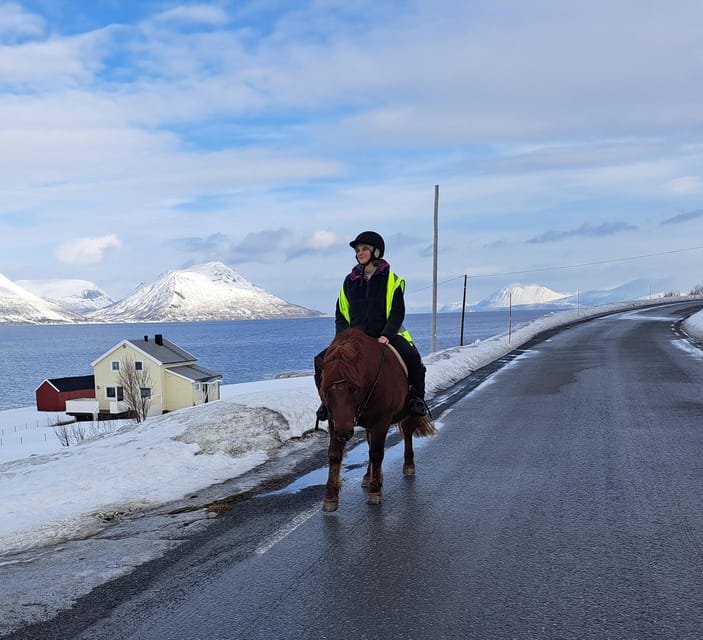 Tromsø: Lyngen Horse Winter Riding Experience - One hour beside Grøtfjord and the Lyngen Alps