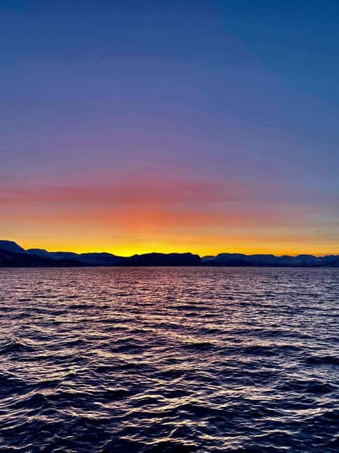 Tromsø: Midnight Sightseeing Cruise All-inclusive - Booking, Cancellation, and Simple Preparation