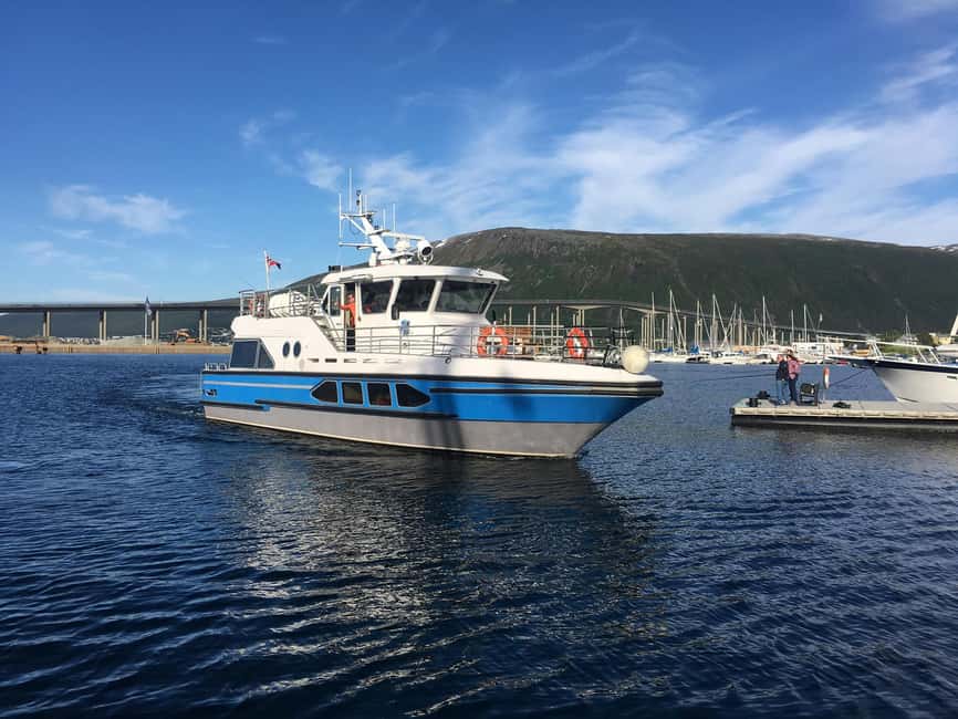 Tromsø: Midnight Sightseeing Cruise All-Inclusive - Wildlife watching with no promises