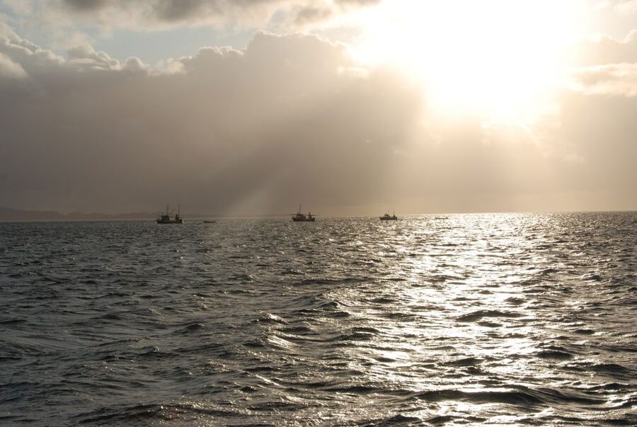 Tromsø: Midnight Sun Cruise in a Luxury Catamaran - Three hours on the Norwegian sea