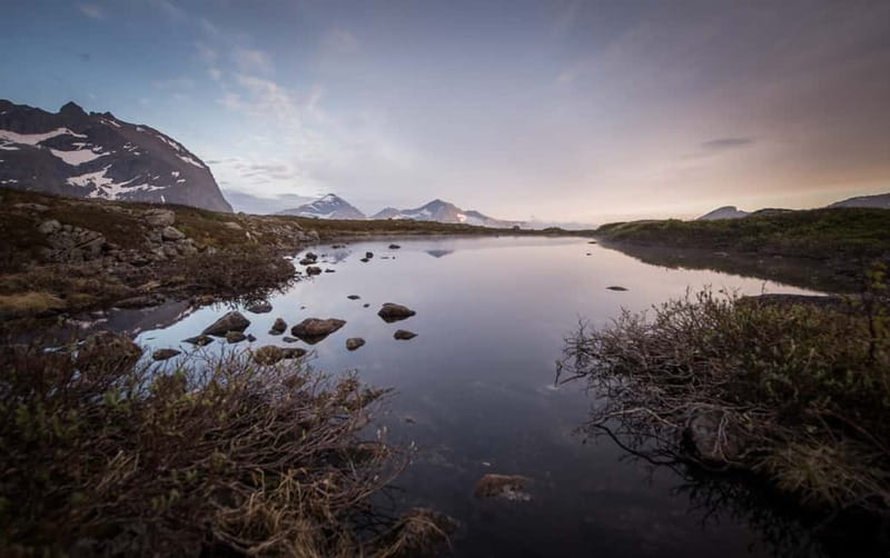 Tromsø: Midnight Sun Hike in the wilderness - The midnight sun viewpoint