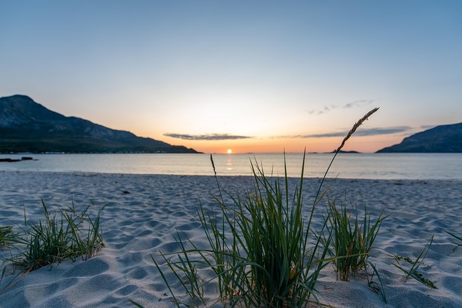 Tromsø: Midnight Sun with Campfire with Wandering Owl - What you eat by the fire