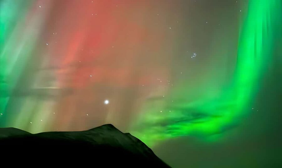 Tromsø: Northern Lights Adventure by Bus or Minibus - The price: what $117 buys you