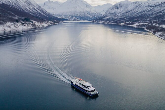 Tromsø, Northern Lights and Wilderness Evening Catamaran Cruise - What the feedback tells you about the experience