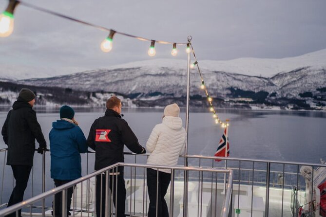 Tromsø, Northern Lights and Wilderness Evening Catamaran Cruise - Who should book this cruise