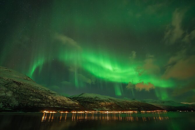 Tromsø: Northern Lights by Minibus - Free Photos and Warm Dinner - How the guides affect the experience