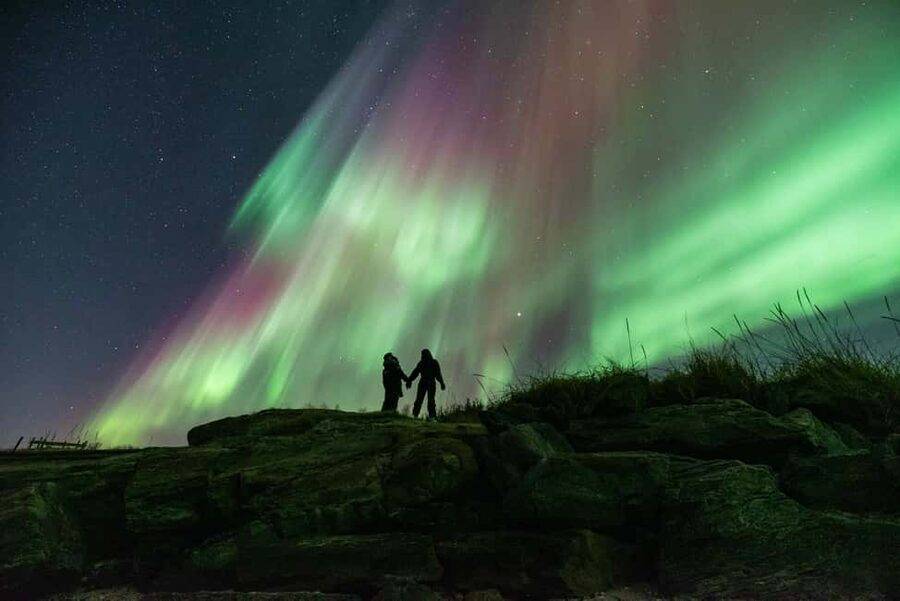 Tromsø: Northern Lights Chase by a comfortable bus - Who Gets the Best Value for $152