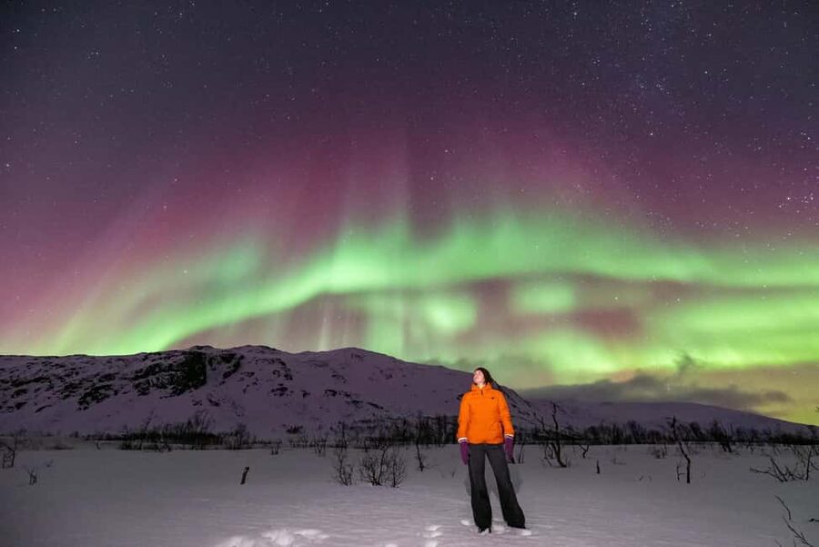 Tromsø: Northern Lights Chase by a comfortable bus - How This Tour Compares With a Fixed Viewpoint