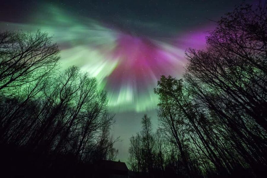 Tromsø: Northern Lights Chase + Free Professional Photos - Campfire, hot chocolate, and expedition food