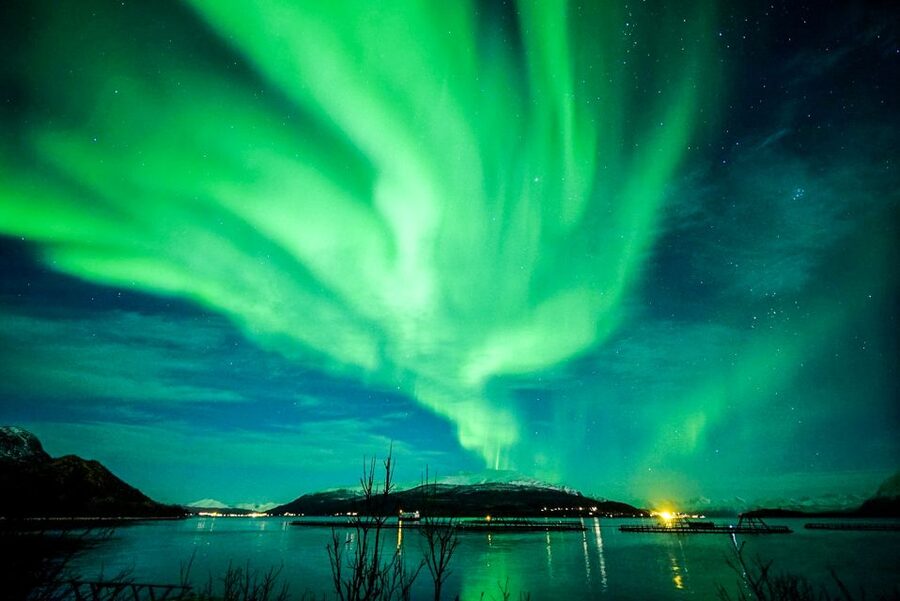 Tromsø: Northern Lights Chase Minibus Tour - How much value do you get for $172?