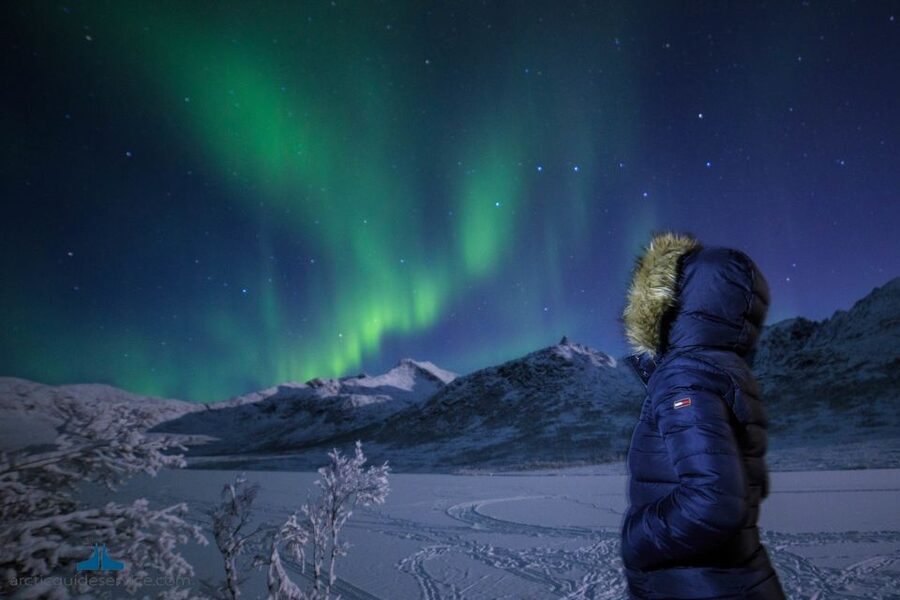 Tromso: Northern Lights Chase with Photo Package Included - Practical ways to improve your night