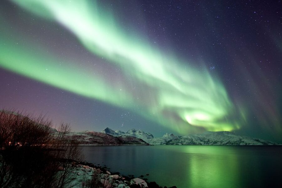 Tromsø: Northern Lights Cruise with 2nd Chance Guarantee - Leaving Tromsø from the Nerstranda pier