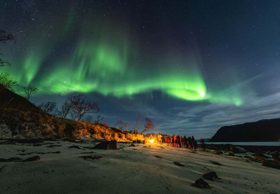 Tromsø: Northern Lights Focus Tour, German/English, minibus, meal - Key points to know before booking