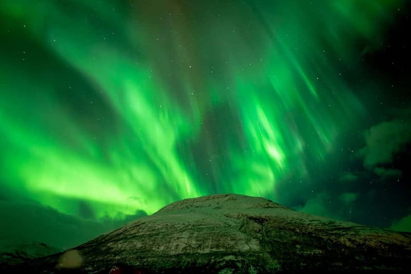 Tromsø: Northern Lights Focus Tour, German/English, minibus, meal - The photo stop and professional portraits