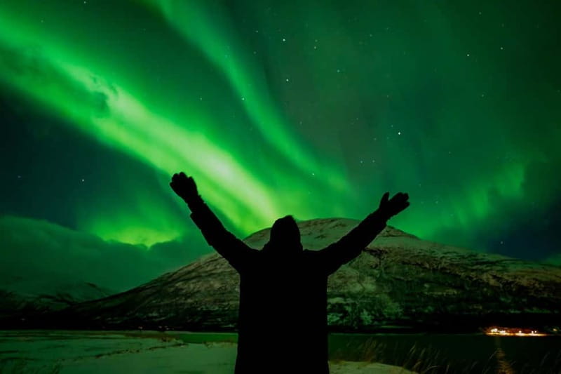 Tromsø: Northern Lights Focus Tour, German/English, minibus, meal - Campfire soup, cookies, and Arctic waiting time