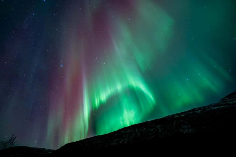 Tromsø: Northern Lights Focus Tour, German/English, minibus, meal - The guides make a practical difference