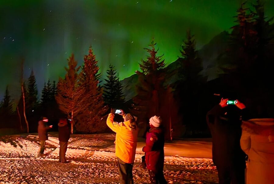 Tromsø: Northern Lights Hunt. Local Guide and Basecamp. - Key points to know before you book