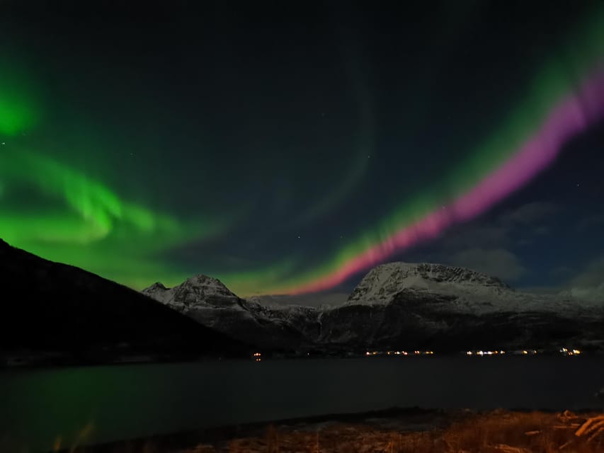 Tromsø: Northern Lights Hunt. Local Guide and Basecamp. - Four hours outside: waiting, watching, and warming up