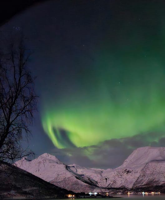 Tromsø: Northern Lights Hunt. Local Guide and Basecamp. - Meeting at the Magic Ice Bar