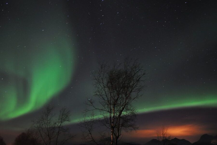 Tromsø: Northern Lights Husky Visit with Traditional Dinner - A husky evening, not a Northern Lights chase
