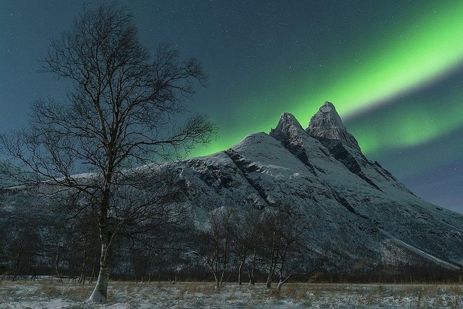 Tromso Northern Lights Minibus Chase Small Group Tour with Photos - The guides make the biggest difference