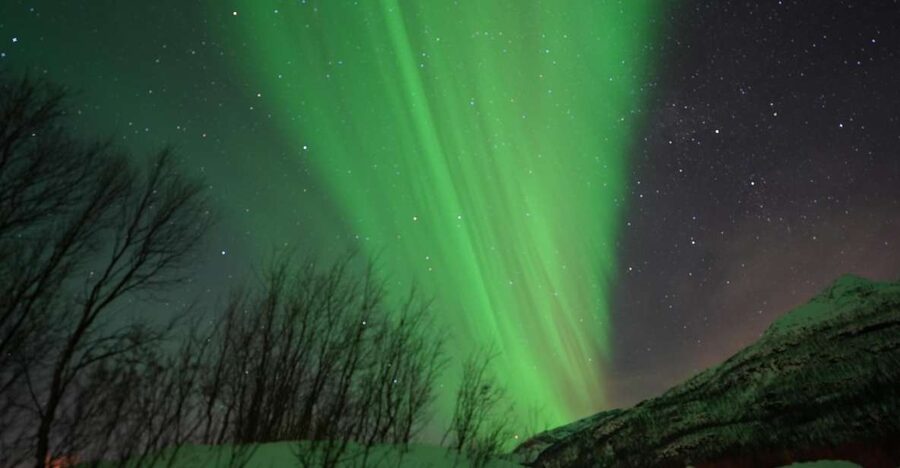 Tromsø: Northern Lights Minibus Small Private Tour Group - What kind of Northern Lights tour is this?