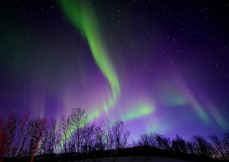 Tromso: Northern Lights Minibus Tour with Campfire - Key points to know before you go
