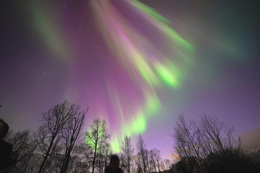 Tromso: Northern Lights Minibus Tour with Campfire - Why the Finnish border can make the difference