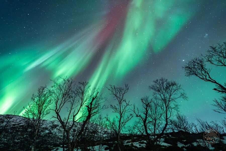 Tromsø: Northern Lights Photography Small-Group Tour - Starting in central Tromsø and heading into the dark