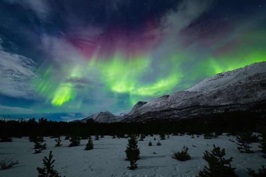 Tromsø: Northern Lights Photography Tour - Is $236 a fair price?