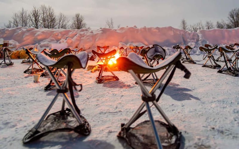 Tromsø: Northern Lights Safari - Key points at a glance