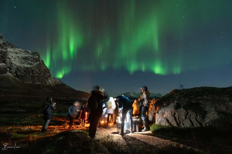 Tromsø: Northern Lights Safari - Why the guide makes a difference