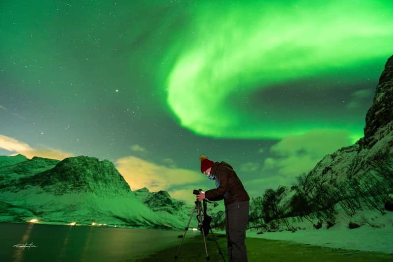 Tromsø: Northern Lights Safari - Choosing between the regular bus and the 15-person option