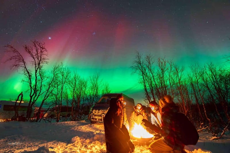 Tromsø: Northern Lights Safari - What happens when the lights are faint