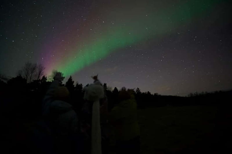 Tromsø: Northern Lights Tour - Who should book this aurora chase?