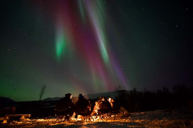 Tromsø: Northern Lights Tour - Chasing clear skies beyond Tromsø