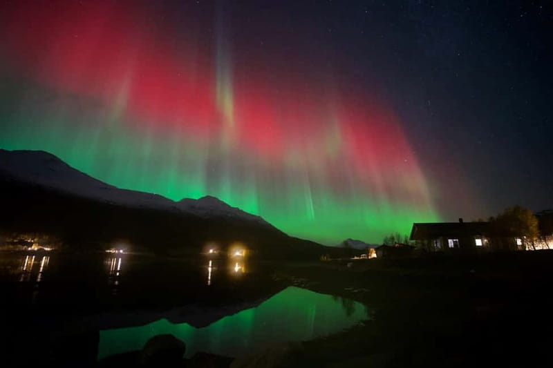 Tromsø: Northern Lights Tour - Why Marius and Hassan make a difference