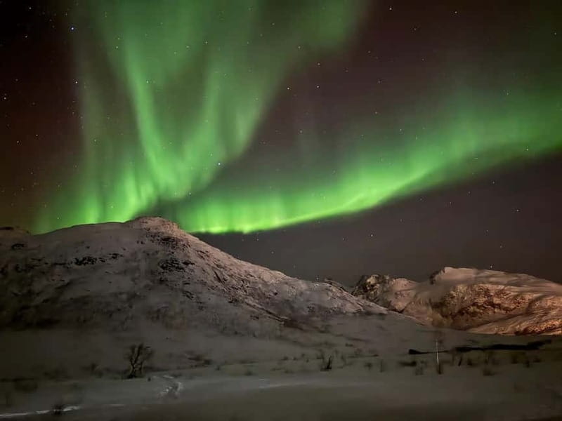 Tromsø: Northern Lights Tour - Bonfire food and warmth in the dark