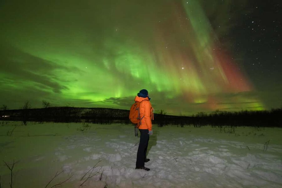 Tromsø: Northern Lights tour with local experts - Why this Tromsø aurora chase is worth considering