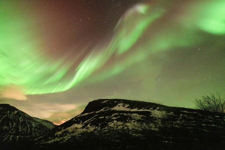 Tromsø: Northern Lights tour with local experts - Campfire food, chairs, and hot drinks