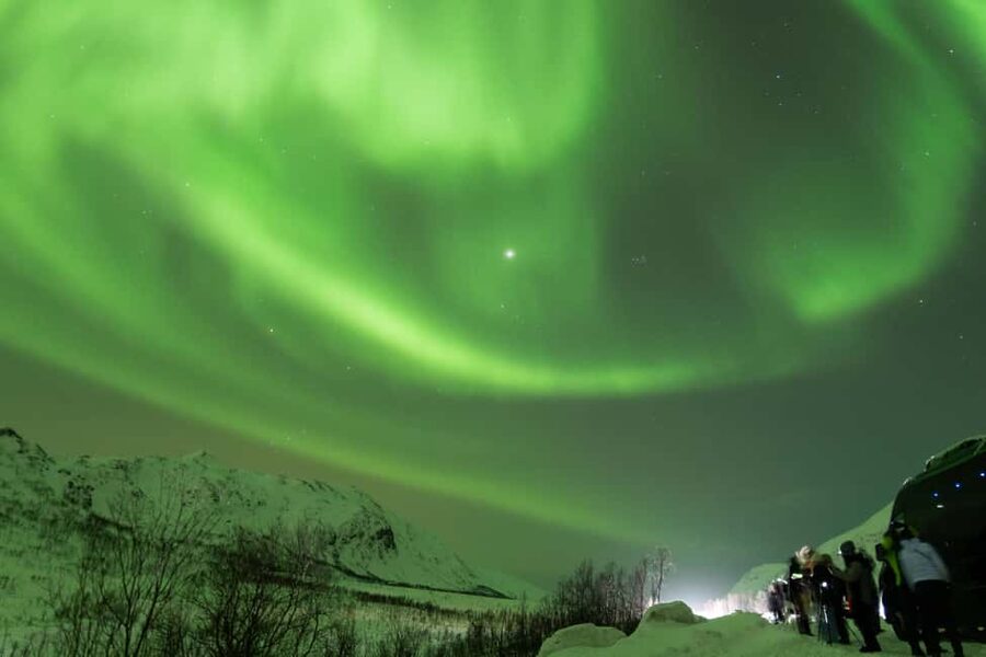 Tromsø: Northern Lights tour with local experts - What the guides add to the night