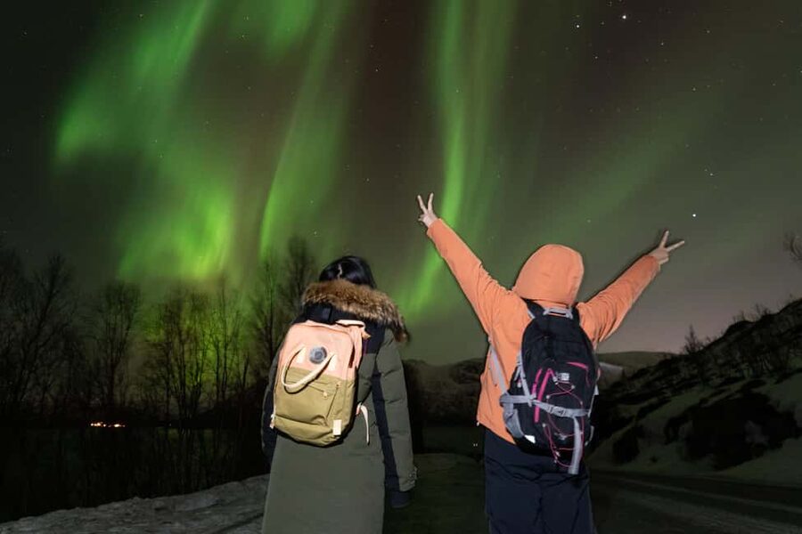 Tromsø: Northern Lights tour with local experts - Is $195 a fair price?