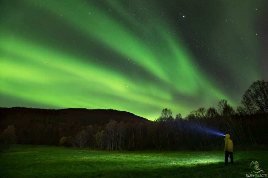 Tromsø: Northern Lights Trip with Campfire and Snacks - Campfire comfort in serious Arctic cold