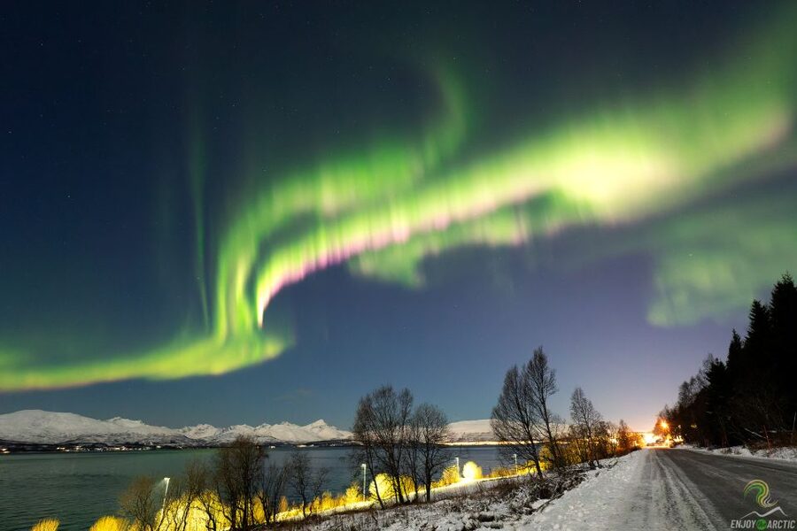 Tromsø: Northern Lights Trip with Campfire and Snacks - Is $150 a fair price?