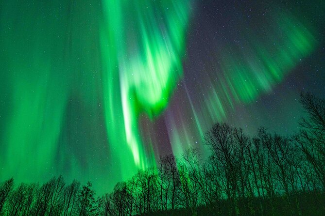 Tromsø Northern Lights with Campfire and Professional Photos - Is $310.85 a fair price?