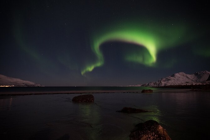 Tromsø Norway - Small Group Aurora Hunt Tour with a local guide - Is $288.34 good value?